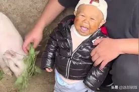 袖珍人平平：29岁长着一张50岁的脸，70厘米的身高，1岁的智商图片