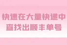 快速在大量快递中查找出顺丰的所有单号图片