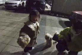 视频 | “汪汪队”立功 小狗识途助女孩找到回家路图片