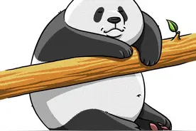 “丫丫”最新视频来了，网友：看不够！图片