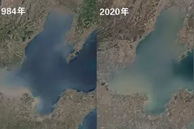 面积年减82平方公里！渤海平均深度已不足18米，今后会不会消失？图片