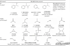 转载| 化学药品中杂质的基因毒性评估策略及相关分析方法研究进展图片