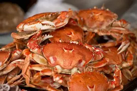 活煮螃蟹太残忍？英国科学家发现：螃蟹能感知疼痛，呼吁别活煮图片