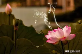 走到红尘的尽头，才大彻大悟，这三点，是人最后的“宿命”图片