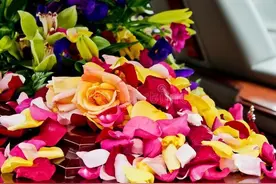 2022年，河南省退休人员去世，能领多少丧葬费和抚恤金？图片