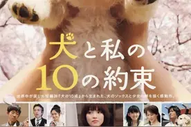 推荐6部关于狗的电影，每一部都让你情不自禁地爱上狗（一）图片