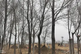 每次回老家，我就要到父亲的坟墓前默默地诉说图片