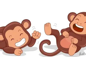 2023年属猴人在兔年的平步青云，事业家庭需要注意什么？图片