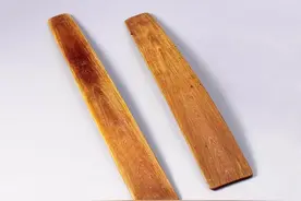 笏板从春秋沿用到明朝，为何在清朝时期被全面废除？图片