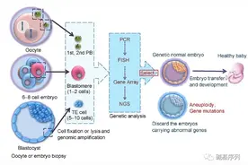 第三代试管婴儿技术是什么？？图片