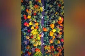 探秘原始森林大兴安岭 享受20度清凉盛夏 再不来9月又要供暖了图片