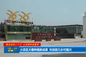 （视频）小店区大棚种植新成果 科技助力乡村振兴图片