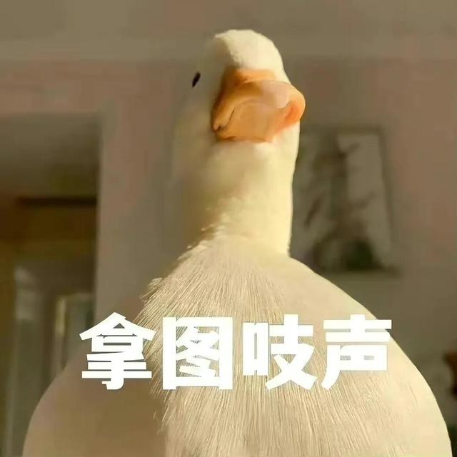 澹佺焊锛氬ゥ鐗规浖鎵撳皬鎬吔