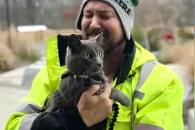 猫咪走丢15个月，一直在原地等待，重逢时主人抱着猫咪大哭…图片