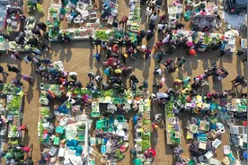 山东日照 赶集时间表图片