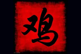 关于十二生肖的冷门传说：鸡图片