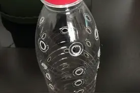 自制“绿萝柱”，3分钟学会，“绿萝”往上爬，叶片脸盆大图片