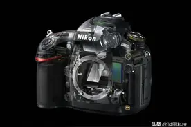 简评 | 带动″无低通″趋势的尼康D800E/D810图片