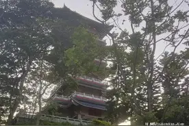 每天发布作品和数量最佳时间，很多人都发错了图片