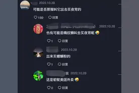 南宁街头鸵鸟狂奔！遇到路口还会等红灯......网友：“丢那猩”叫它去买宵夜？图片