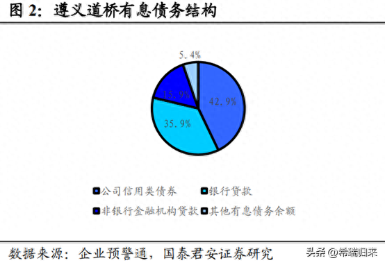 逾期项目分析报告，城投项目爆雷 配图07