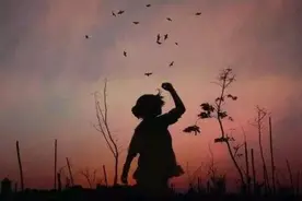 有一种高级的活法，叫“无为”图片