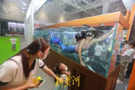 太卷了！国际水族用品博览会，鱼缸里惊现“人鱼小姐”图片