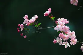 没妈的孩子图片