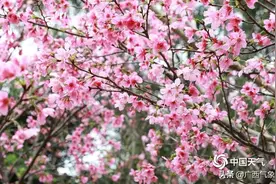 雨要来了！16-18日一波小雨+中雨到大雨 局部暴雨 雷暴大风 冰雹将至图片