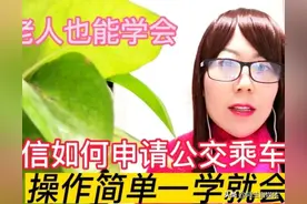 微信怎样申请公交乘车码？原来方法这么简单，一看就会图片