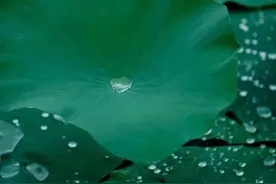 浅述人生，不负人生，不负卿图片