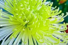 如果有一天，我狠心删除了你图片