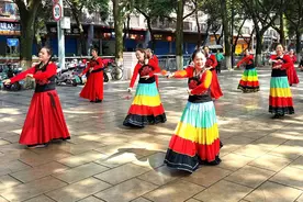 桂林：绿荫下的柔力球交流联谊活动图片