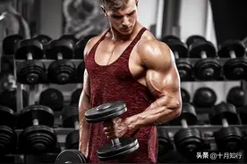 如何高效练手臂？了解手臂肌肉结构及特点，7个动作练出麒麟臂图片