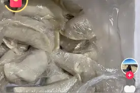 妈妈给女儿寄100个水饺都独立包装图片