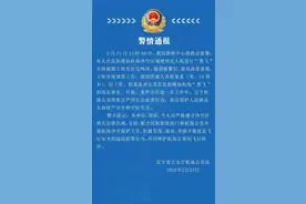 官方通报15岁男孩沈阳桃仙机场破解无人机黑飞事件图片