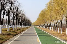 渭河河堤路3月21日起进行提升改造图片