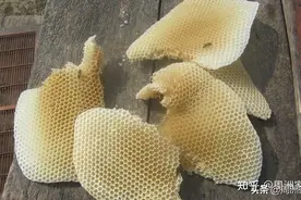 什么是天然蜂蜡？天然蜂蜡是怎么来的？有什么作用？图片