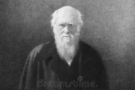 出人意料！荷兰学者认为中国人是进化程度最高的人种图片