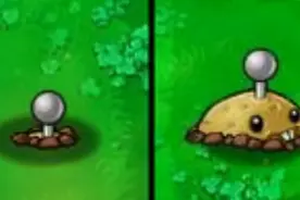 植物大战僵尸各种爆炸类植物威力对比图片