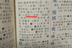 令人发指的新华字典，在～玩～谁？图片