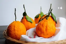 不知火是什么水果图片