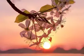 女人单身久了，要不要赶紧找个人嫁了？听听几位大龄女性的实话图片