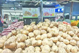 零售价每斤超3元！今年，西宁的土豆咋这么金贵？图片