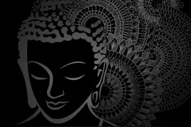 佛.禅.悟.佛教文化艺术壁纸，清静静谧，如遇莲花图片