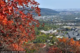 暑去秋来，去京城这4个地方登高望远正当时图片