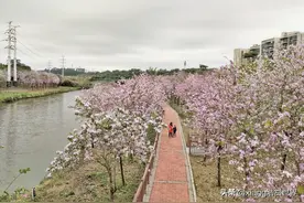 广州尴尬的地区，划入广州多年，却始终没有得到强力的发展图片