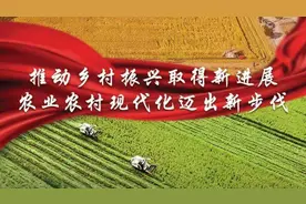 2022年中央一号文件发布，再读农业水肥一体化（粉剂水溶肥设备）图片