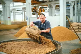 1斤纯粮酒的酿造成本是多少？60岁老酿酒师说漏嘴，涨知识了图片