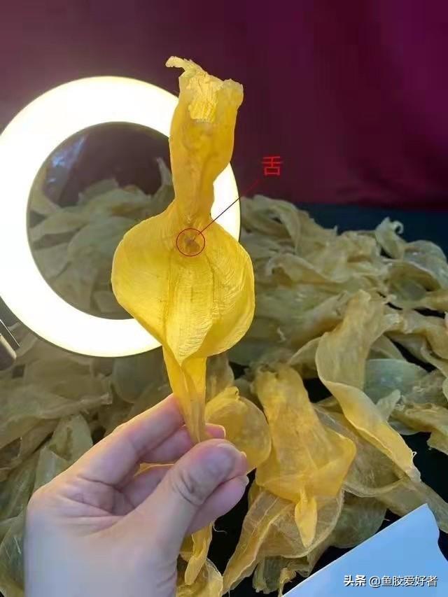 白花胶图片 2026年本港白花胶图片